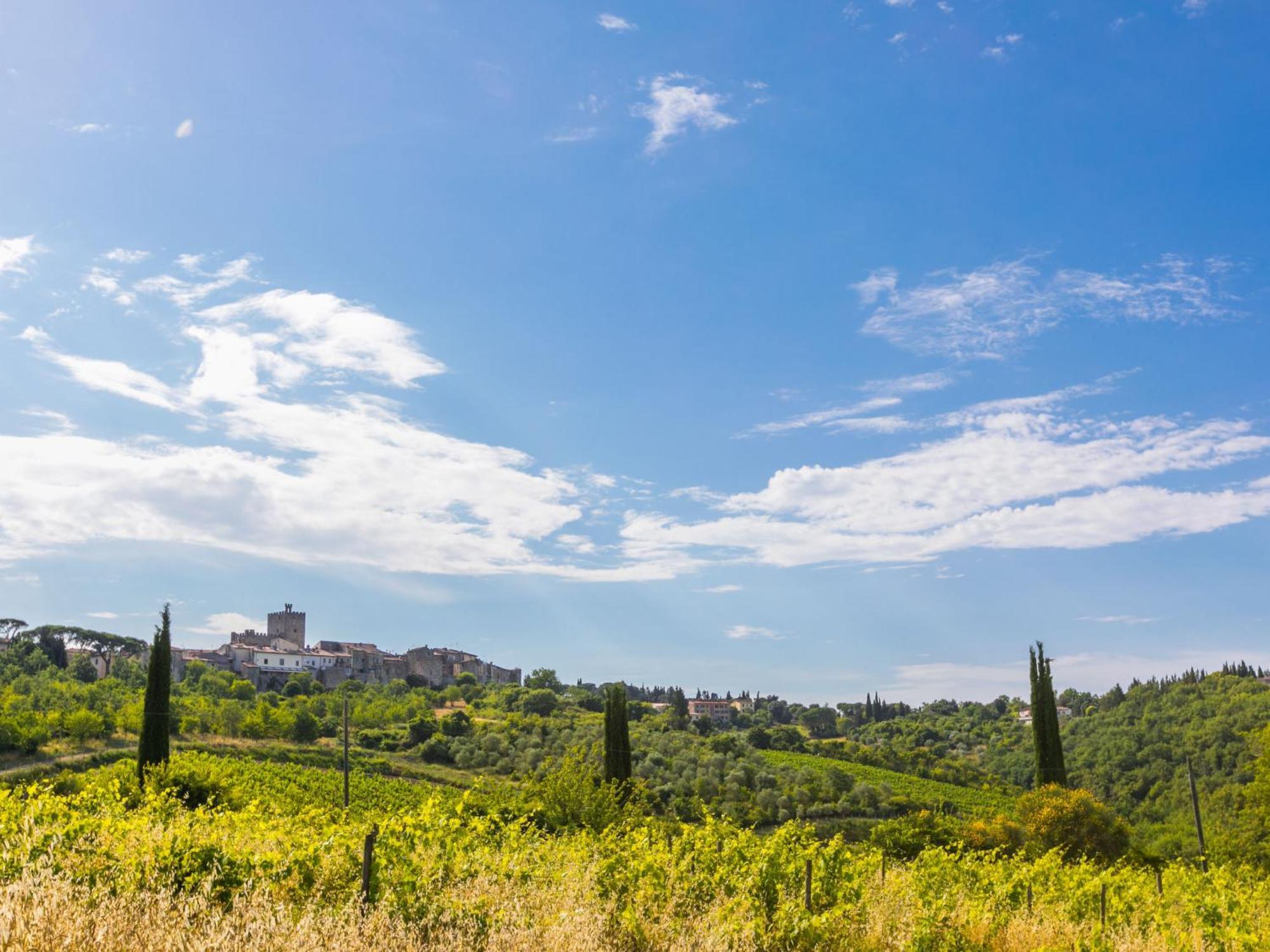 Holiday Home Cerretino - Tettoia By Interhome Castellina in Chianti Kültér fotó